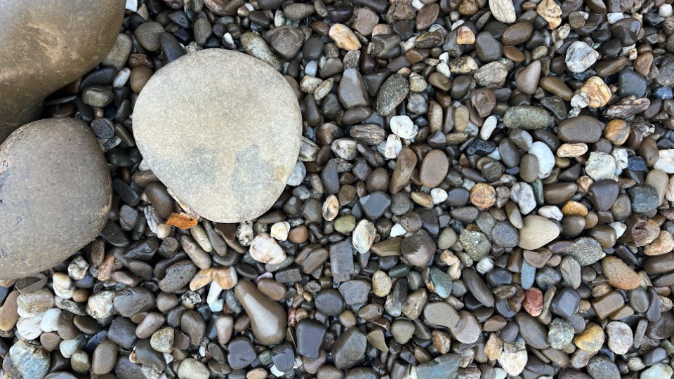 Галька Колор Мікс (морська) 5-20 мм