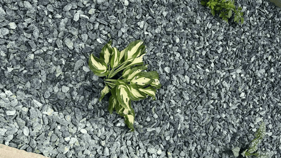 Галька Verde Royal 10-20 мм, зелена