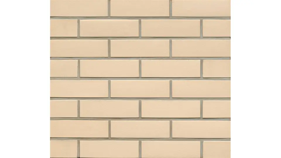 Клінкерна плитка Feldhaus R 100 NF9/DF9
