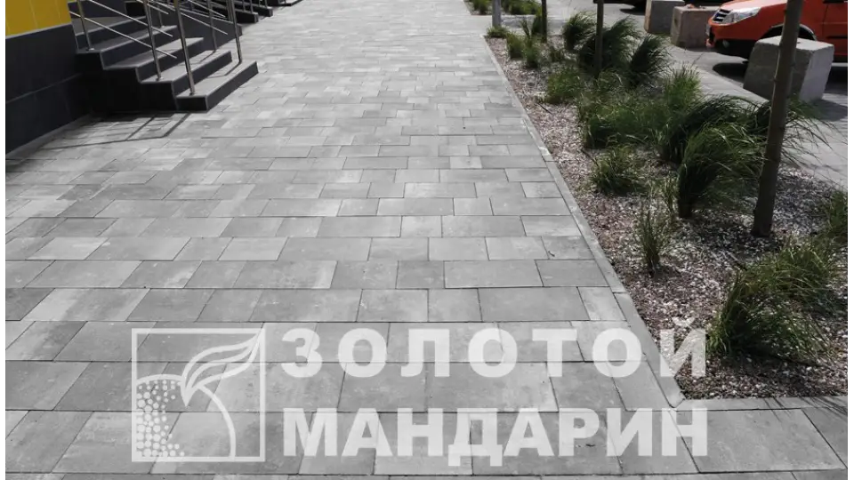 Модерн 6 см, грейс. Золотий Мандарин. 