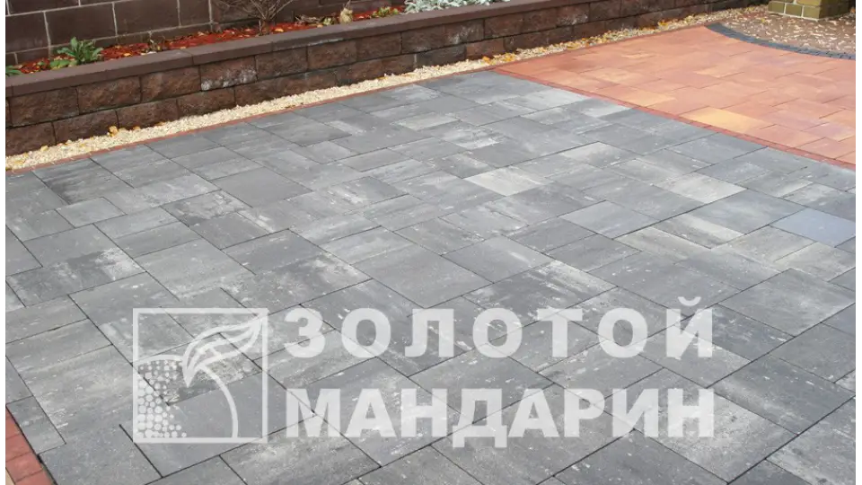 Модерн 6 см, грейс. Золотий Мандарин. 