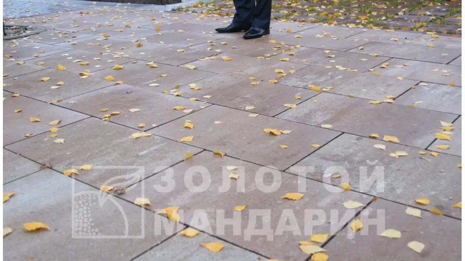 Моноліт 8 см, тренто. Золотий Мандарин. 