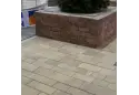 Паттерн 8 см, аріано. Золотий Мандарин. 