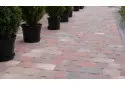 Стара площа 4 см, реджіо. Золотий Мандарин.