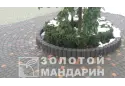 Стовпчик круглий Золотий Мандарин 8 см, червоний