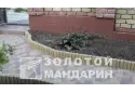 Стовпчик круглий Золотий Мандарин 8 см, червоний
