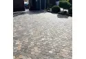 Сота 6 см, россано. Золотий Мандарин.