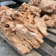 Корал Іріс рожевий