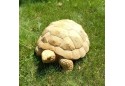 Черепаха, декор садовий Золотой Мандарин, онтаріо