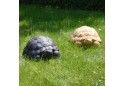 Черепаха, декор садовий Золотой Мандарин, нуаро