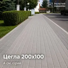 Цегла 200х100 4 см, сірий. Золотий Мандарин. 