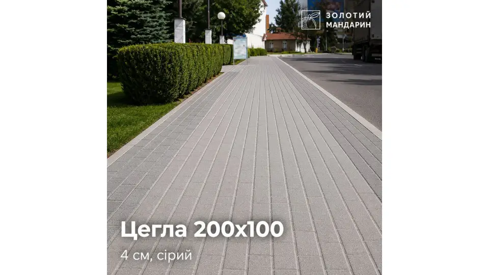 Цегла 200х100 4 см, сірий. Золотий Мандарин. 