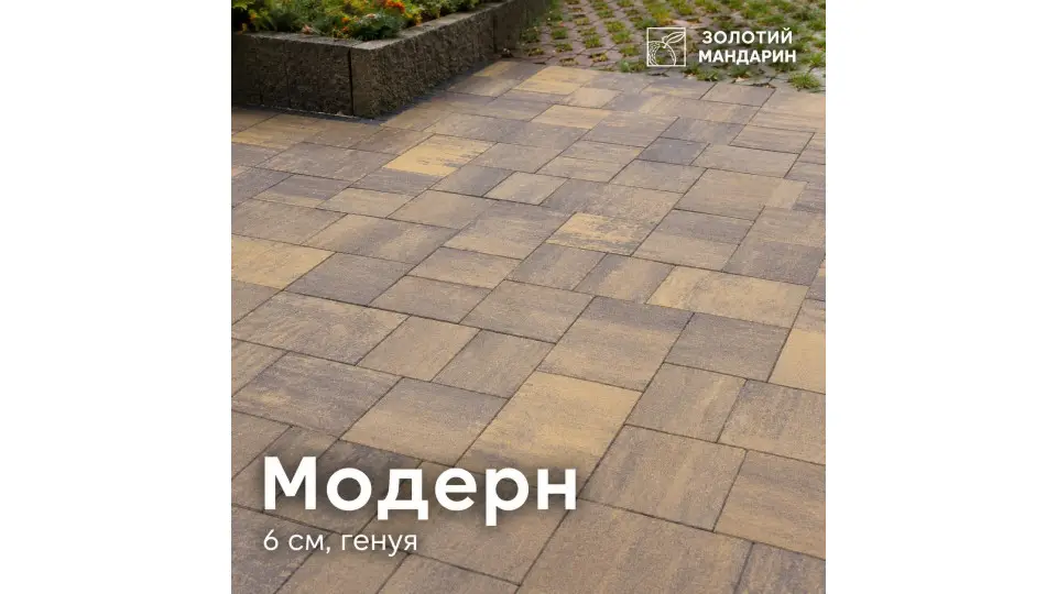 Модерн 6 см, генуя. Золотий Мандарин. 
