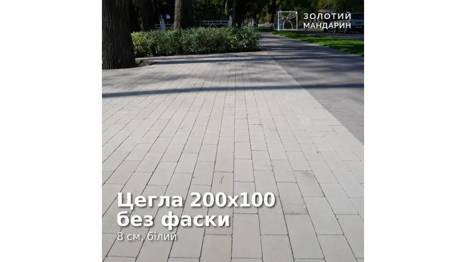 Цегла 200х100 без фаски 8 см, білий. Золотий Мандарин. 