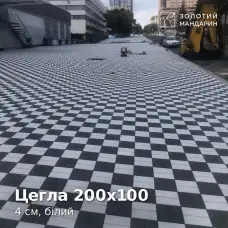 Цегла 200х100 4 см, білий. Золотий Мандарин. 