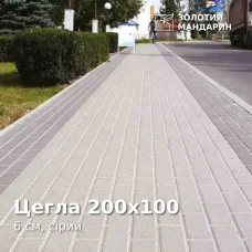 Цегла 200х100 6 см, сірий. Золотий Мандарин. 