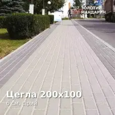 Цегла 200х100 6 см, сірий. Золотий Мандарин. 