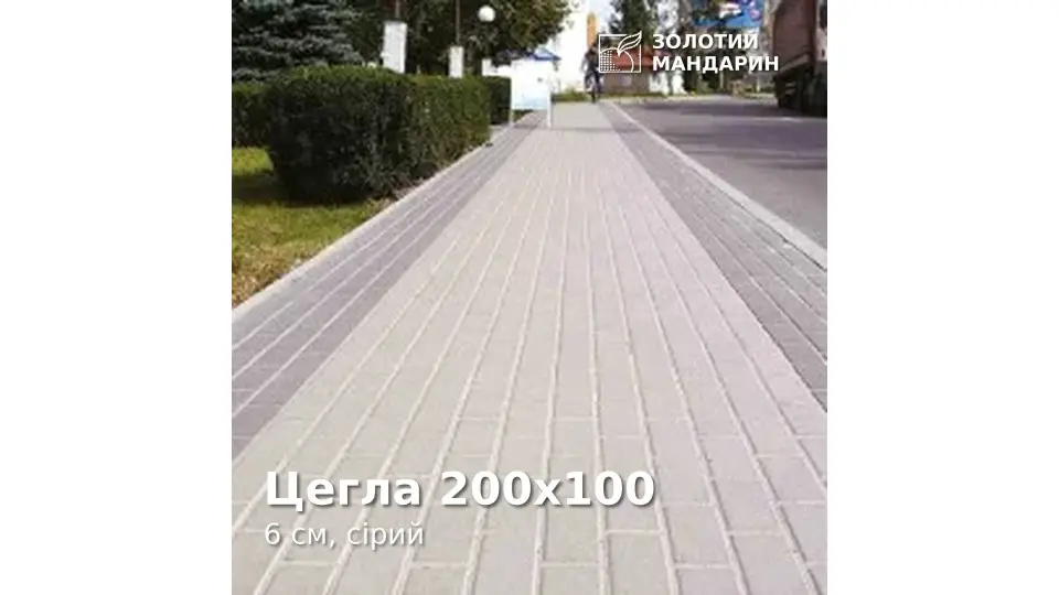 Цегла 200х100 6 см, сірий. Золотий Мандарин. 