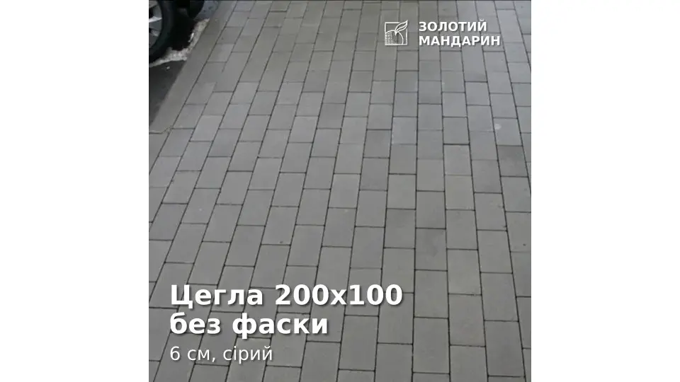 Цегла 200х100 без фаски 6 см, сірий. Золотий Мандарин. 