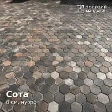 Сота 6 см, нуоро. Золотий Мандарин.