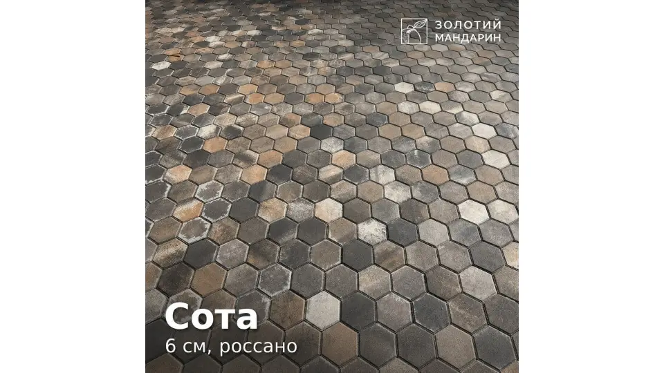 Сота 6 см, россано. Золотий Мандарин.