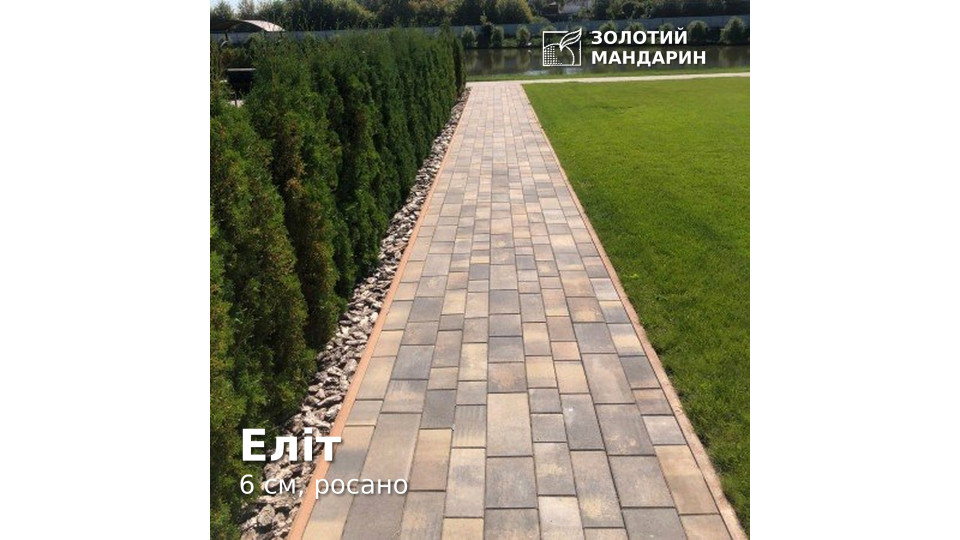 Еліт 6 см, росано. Золотий Мандарин.