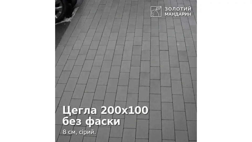 Цегла 200х100 без фаски 8 см, сірий. Золотий Мандарин. 