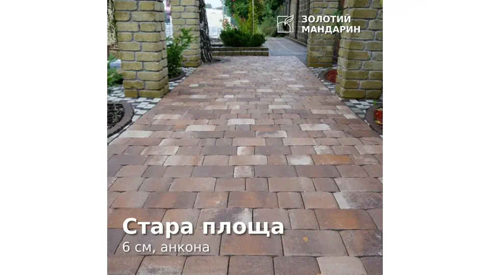 Стара площа 4 см, анкона. Золотий Мандарин.