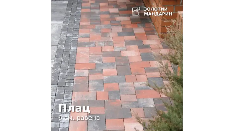 Плац 6 см, равена. Золотий Мандарин. 